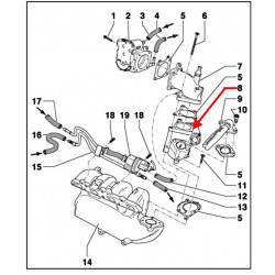 Exhaust Gas recirculation valve (A2 FSI)