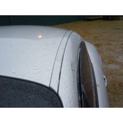 Roof moulding passenger (TT - silver)